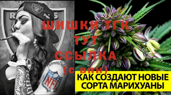 соль ск Ростов