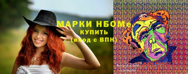 стафф Елабуга