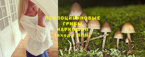 дживик Рославль