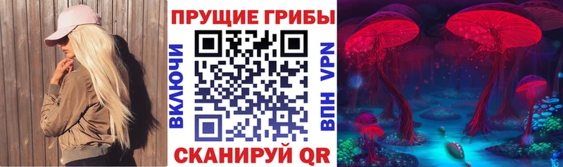Галлюциногенные грибы ЛСД  kraken рабочий сайт  Ачинск 