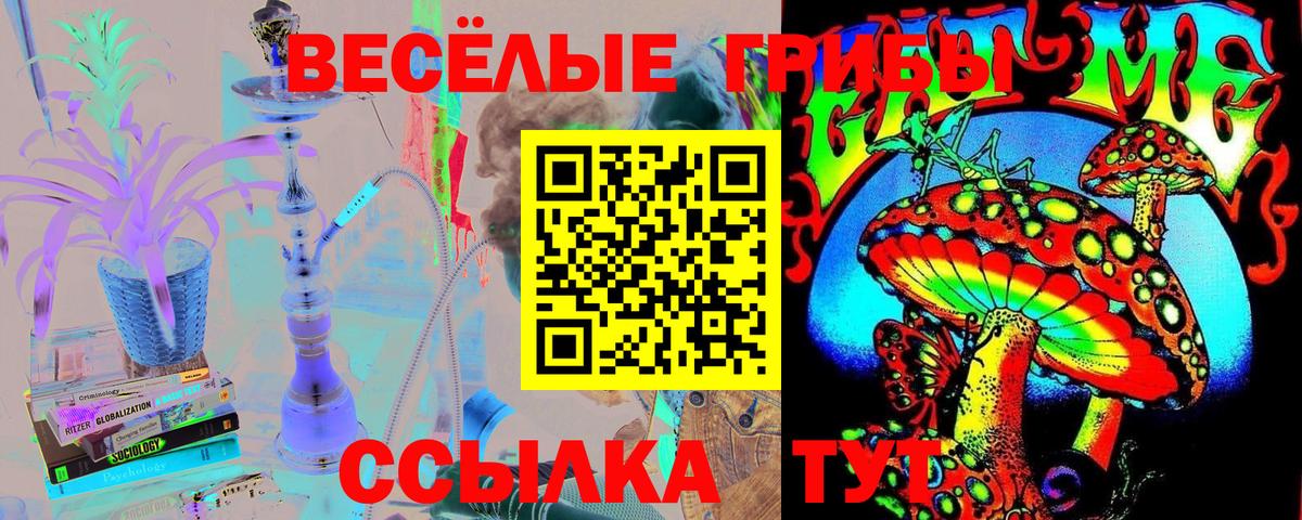 Псилоцибиновые грибы GOLDEN TEACHER  Ачинск  где можно купить наркотик  Галлюциногенные грибы ЛСД 