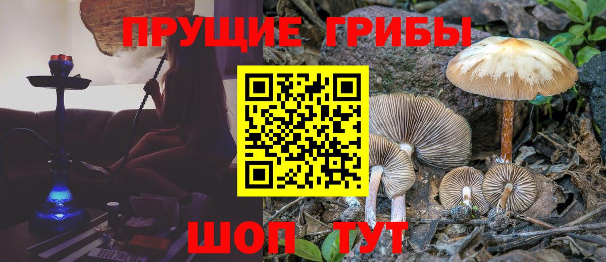 Галлюциногенные грибы MAGIC MUSHROOMS Ачинск