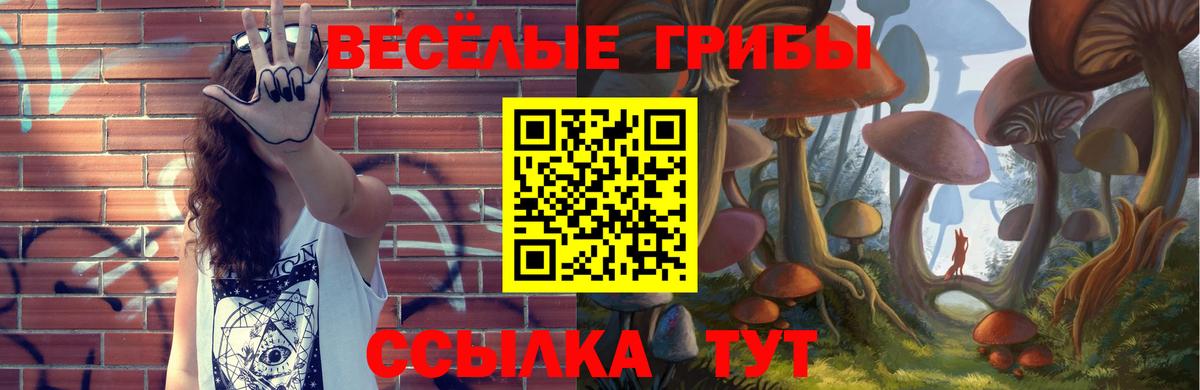 Галлюциногенные грибы Magic Shrooms  Псилоцибиновые грибы Psilocybe  Ачинск  Вход с VPN 
